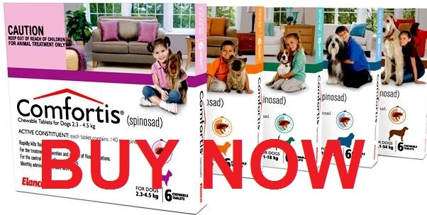 Buy Comfortis for dogs without prescription cheap