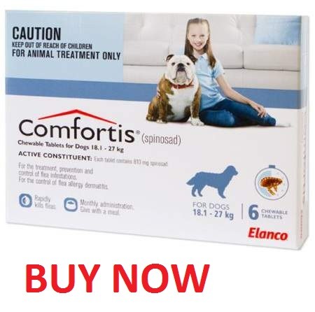 Comfortis Blue 40-60lbs flea treatments for dogs