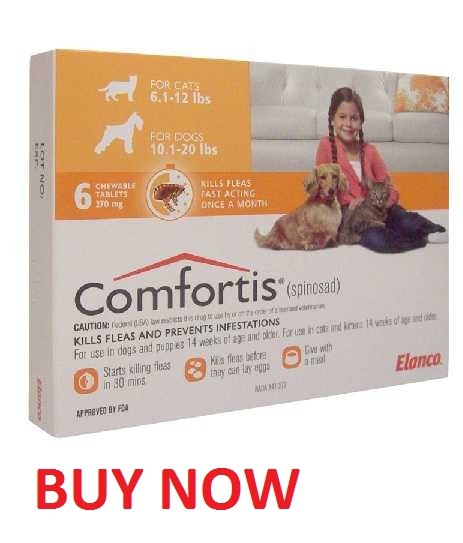 Comfortis Orange 10-20 lbs for dogs flea treatment
