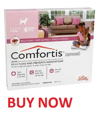 Comfortis pink 5 to 10 lbs for dogs