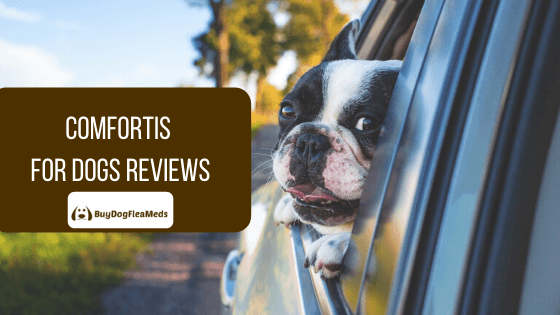 Comfortis For Dogs Reviews