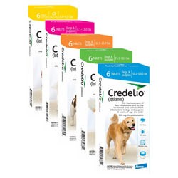 Credelio for dogs