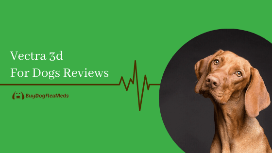 Vectra 3D For Dogs Flea Treatment Side Effects, Dosage, Cost Reviews