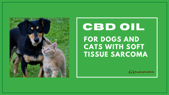 cbd oil for dogs and cats with soft tissue sarcoma