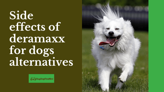 side effects of deramaxx for dogs alternatives