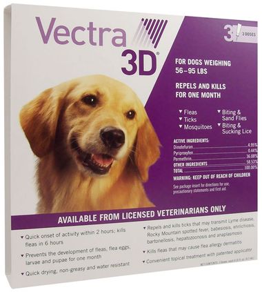 vecto 3d for dogs