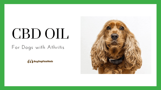 cbd oil for dogs with arthritis